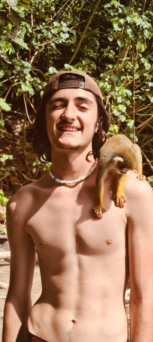 Profil de Toufek